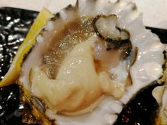 生蚝刺身-渔娘渔家丹东海鲜(东直门店)