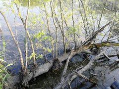 -西湖风景区-江洋畈生态公园