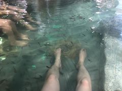 -汗蒸时代水善汤泉(欣欣嘉园店)