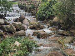 -小洞天柴火土菜馆