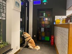 门面-BOCATA 西班牙餐厅(三里屯店)