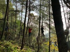 -梦幻奥陶纪景区