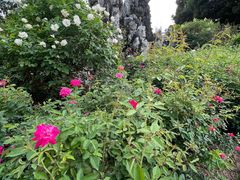 -人民公园(罗湖区)