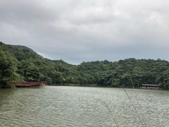 -广州市石门国家森林公园