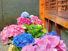 -大妙火锅·非物质文化遗产(东湖公园店)