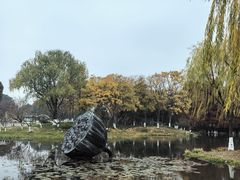 -玄武湖景区-情侣园游乐场