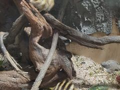 -常州海昌海洋探索馆