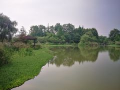 -桤木河湿地公园