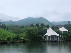 -帐篷客·溪龙茶谷度假酒店