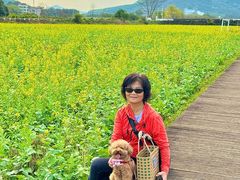 -艾米稻香小镇