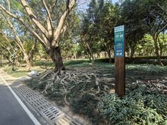 -深圳福青龙华天假日酒店