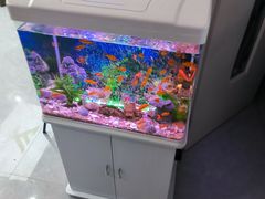 -郑远元专业修脚房·按摩·肉刺·灰指甲(东安路店)