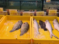 -大茄来海鲜餐厅(亚洲城分行)
