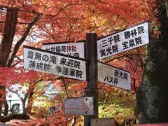 -三千院