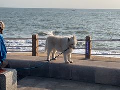 -秀男家米肠汤饭