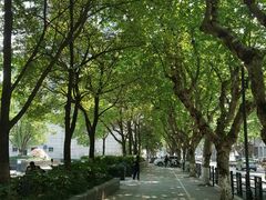-丁莲芳(红旗路店)
