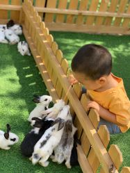 -萌宠亲子动物乐园(槐房万达店)