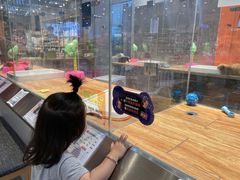 -狗道宠物(常熟印象城店)