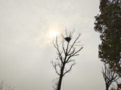 -苏州太湖国家湿地公园
