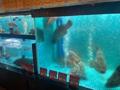 -抱德·潮汕味(琶洲店原惠城鱼仔)
