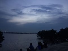 -宝安西湾红树林湿地公园