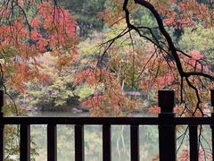-八大山人梅湖景区