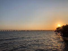 -宝安西湾红树林湿地公园