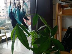 -蜜蜂小象·榴莲千层蛋糕(时代汇11栋店)