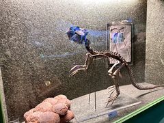 -常州博物馆