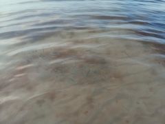 -那香海钻石沙滩浴场