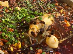 -黑竹香鸡(营和巷店)