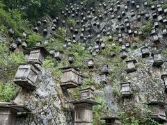 -神农架景区