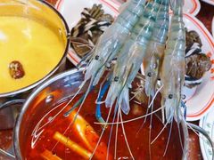 -金龙·打边炉(南京西路店)