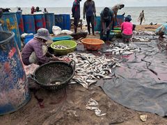 -尼甘布海鲜市场