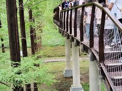 -黄海国家森林公园