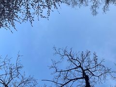 -华山风景名胜区