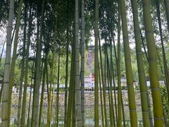 -台州府城(东湖)