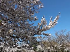-苏州上方山国家森林公园
