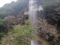-少华山国家森林公园