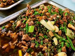 -铁山坪森林公园