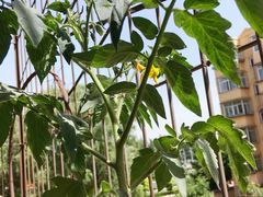 -北京银行(芍药居支行)