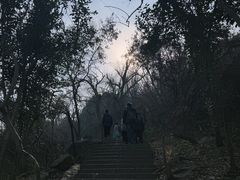 -紫金山索道-售票处