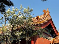 -故宫博物院(故宫)