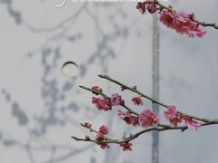-静安雕塑公园