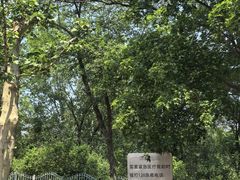 -滨河世纪广场公园