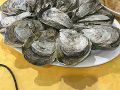 -蚝专家(北滘店)