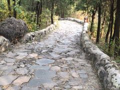 -阳台山自然风景区