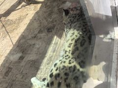 -青藏高原野生动物园