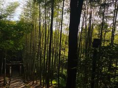 -杭州黄龙洞