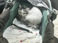 -美联众合动物医院·24h京西诊疗中心